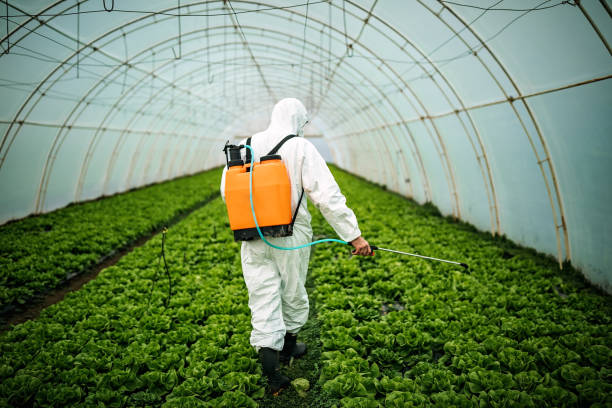 Best Pest Removal Services  in Freemansburg, PA