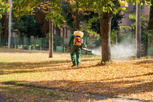 Best Wasp Removal Services  in Freemansburg, PA